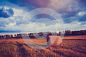 Vintage landscape of straw bales on stubble field