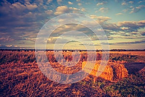 Vintage landscape of straw bales on stubble field