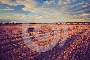 Vintage landscape of straw bales on stubble field