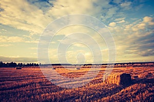 Vintage landscape of straw bales on stubble field