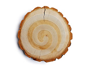 Vintage large circular piece of wood cross section with tree ring texture pattern and cracks isolated clipping mask on