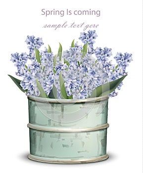 Vintage Lavender bouquet Vector. Spring backgrounds