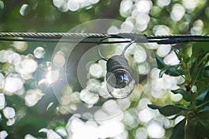 Vintage light bulb hang in home garden with sunlight bokeh