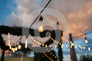 Vintage light bulbs focus party celebration