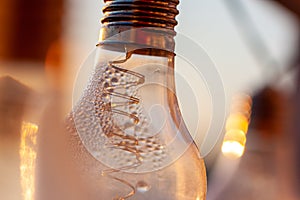 Vintage light bulbs on a the sunset background - Solar power concept