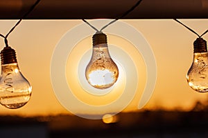 Vintage light bulbs on a the sunset background - Solar power concept