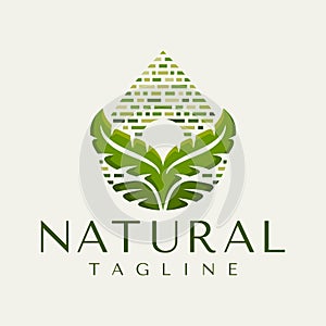 Vintage line nature leaf droplet logo branding. Luxury farm leaf water logo.