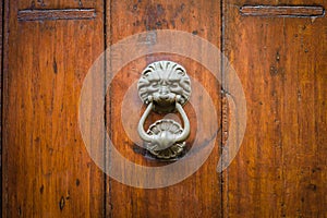 A vintage lion head shaped door knocker fitted on a solid, old wooden door