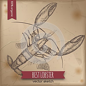 Vintage lobster template