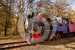 Vintage locomotive on forest railway tracks, antique train with red wheels.