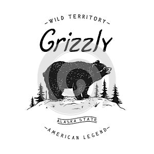 Vintage logo with bear