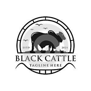 Vintage logo brahman cattle farm inspiration illustration