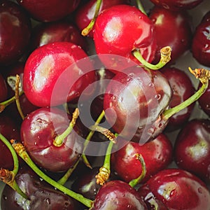 Vintage looking image of a light blue bowl full of red cherries on a wooden board.