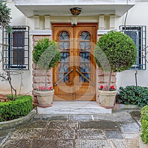 A vintage, luxury house entrance solid wood door with huge flower pots