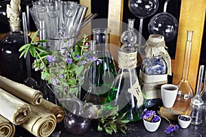 Vintage magic bottles and lilac flowers on witch table