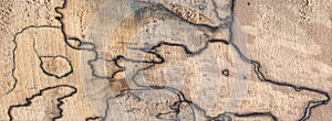Vintage map overlapping outlines spalted wood