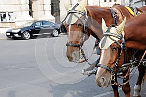 Vintage and modern transport type photo