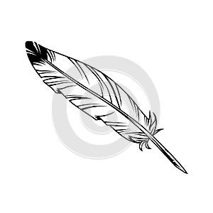 Vintage monochrome feather pen with ink