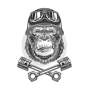 Vintage monochrome serious gorilla head