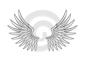 Vintage monochrome wings illustration. Isolated vector template