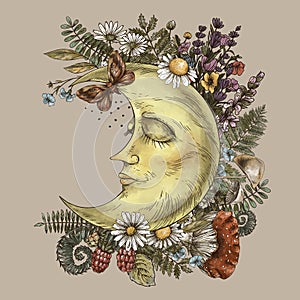 Vintage moon, fern, amanita mushroom, forest plants.  Occult mystical floral greeting card