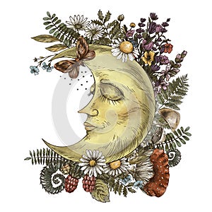 Vintage moon, fern, amanita mushroom, forest plants.  Occult mystical floral greeting card