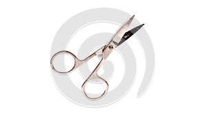 Vintage nails scissors