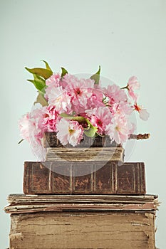 Vintage novel books with bouquet of cherry blossom flowers on white wood background in light pastel colors