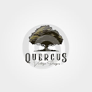 Vintage oak tree logo vector illustration design