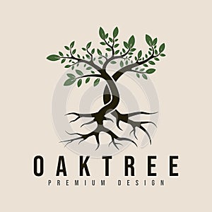 vintage oak tree logo vector minimalist illustration design