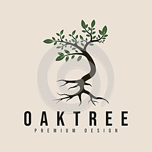 vintage oak tree logo vector minimalist illustration design