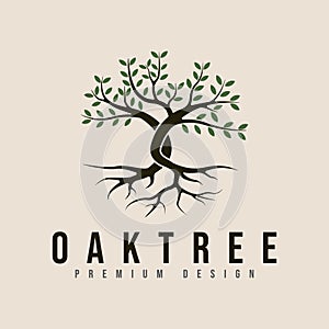 vintage oak tree logo vector minimalist illustration design .pine tree or palm tree nature line art logo