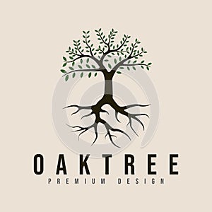 vintage oak tree logo vector minimalist illustration design .pine tree or palm tree nature line art logo design
