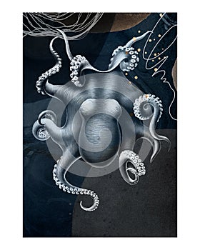 Vintage octopus illustration wall art print and poster. Remix from original painting by Carl Chun photo