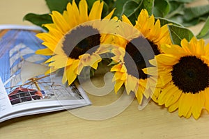 Vintage Old books and bouquet of sunflowers. Two books with bright yellow flowers. Retro nostalgic vintage background. Reading,