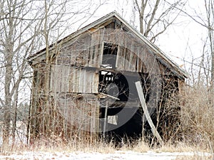 Vintage old gable wood barn collapses in winter woods