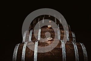 Vintage old oak barrels of wine, cognac in the wine dark vaults of the winery