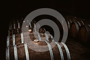 Vintage old oak barrels of wine, cognac in the wine dark vaults of the winery