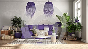 Vintage, old style living room in purple tones, Sofa, carpet, pillows and rattan pendant lamps, tables with decors and potted