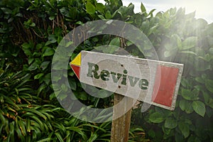 vintage old wooden signboard with text revive near the green plants