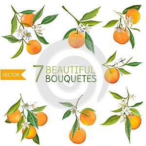 Vintage Oranges, Flowers and Leaves. Orange Bouquetes