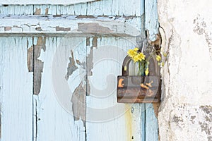 Vintage padlock on wooden door