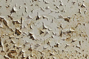 Vintage painted wooden background texture of wooden weathered rustic wall with peeling paint. Empty space for copy old wood