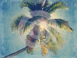 Vintage Palm Tree