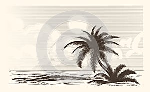 Vintage palm tree sketch