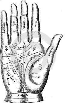 Vintage palmistry hand illustration