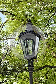 Vintage park lamp