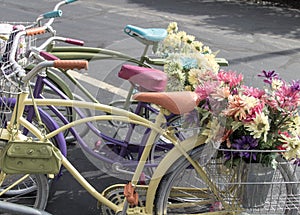 Vintage Pastel Bicycles Parked On Street