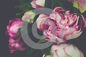 Vintage Peony Rose Flower