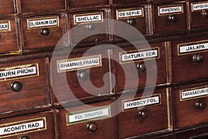 Vintage pharmacy wooden drawers